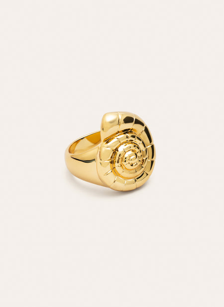 Anillo Snail Shell Baño Oro