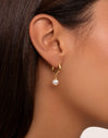 Pearl Gold Hoop Earrings