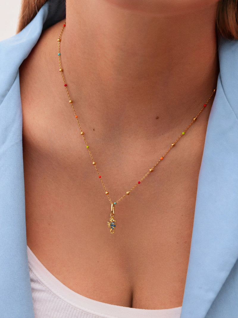 Pack Cadeau Ketting Dots L Colors en Charm Caballito de Mar