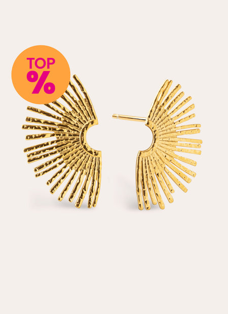 Sunbeam Stainless Steel Gold Earrings
