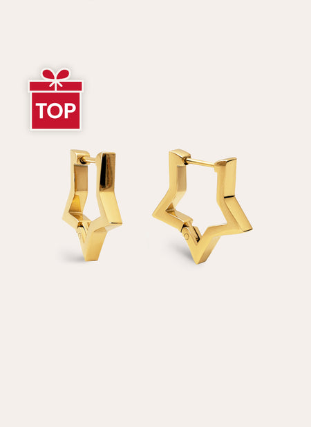 Superstar Stainless Steel Gold Earrings