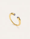 Anello Cane Cianite Placcato Oro