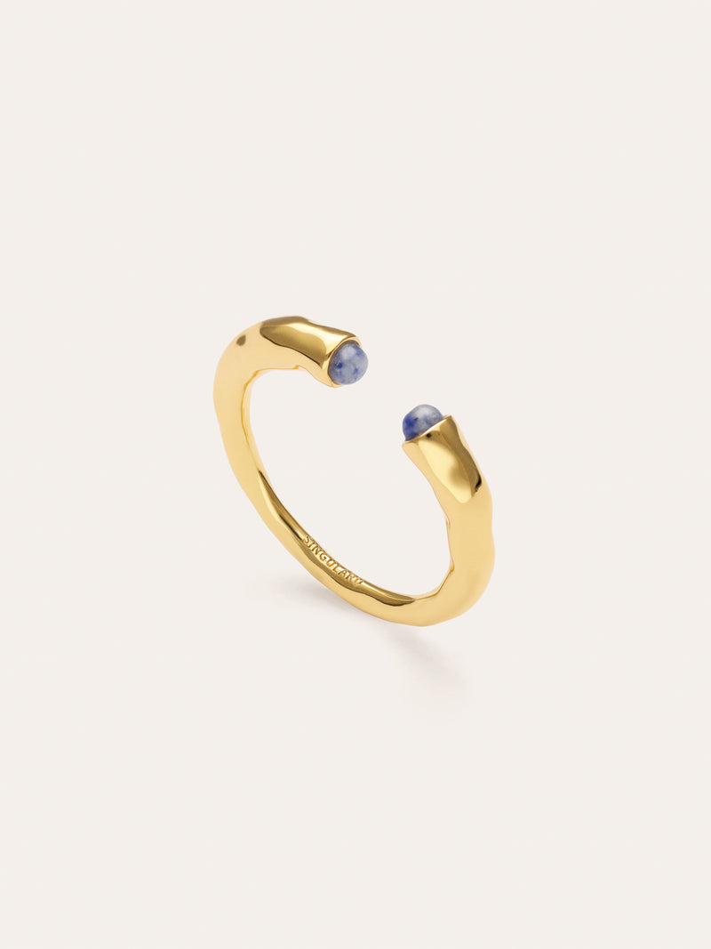 Anello Cane Cianite Placcato Oro
