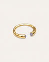 Anello Cane Cianite Placcato Oro