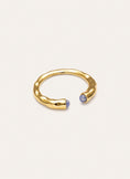 Anello Cane Cianite Placcato Oro
