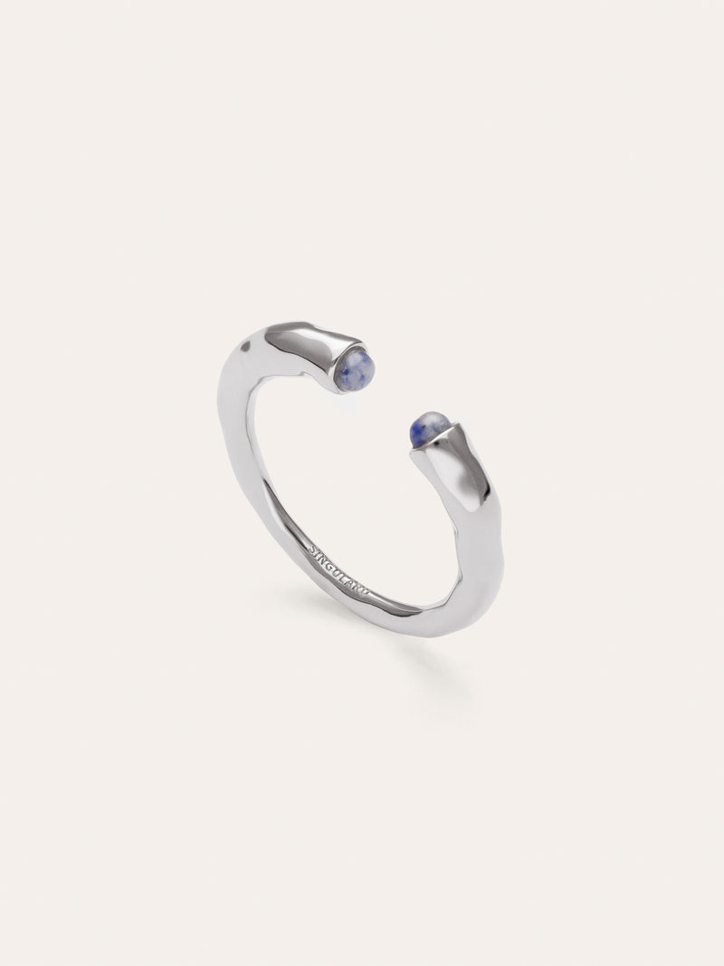 Anello Cane Cianite