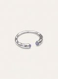 Anello Cane Cianite