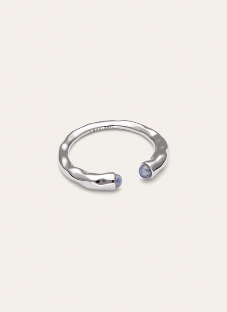 Anello Cane Cianite