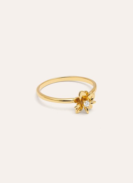 Anillo Gardenia Baño Oro