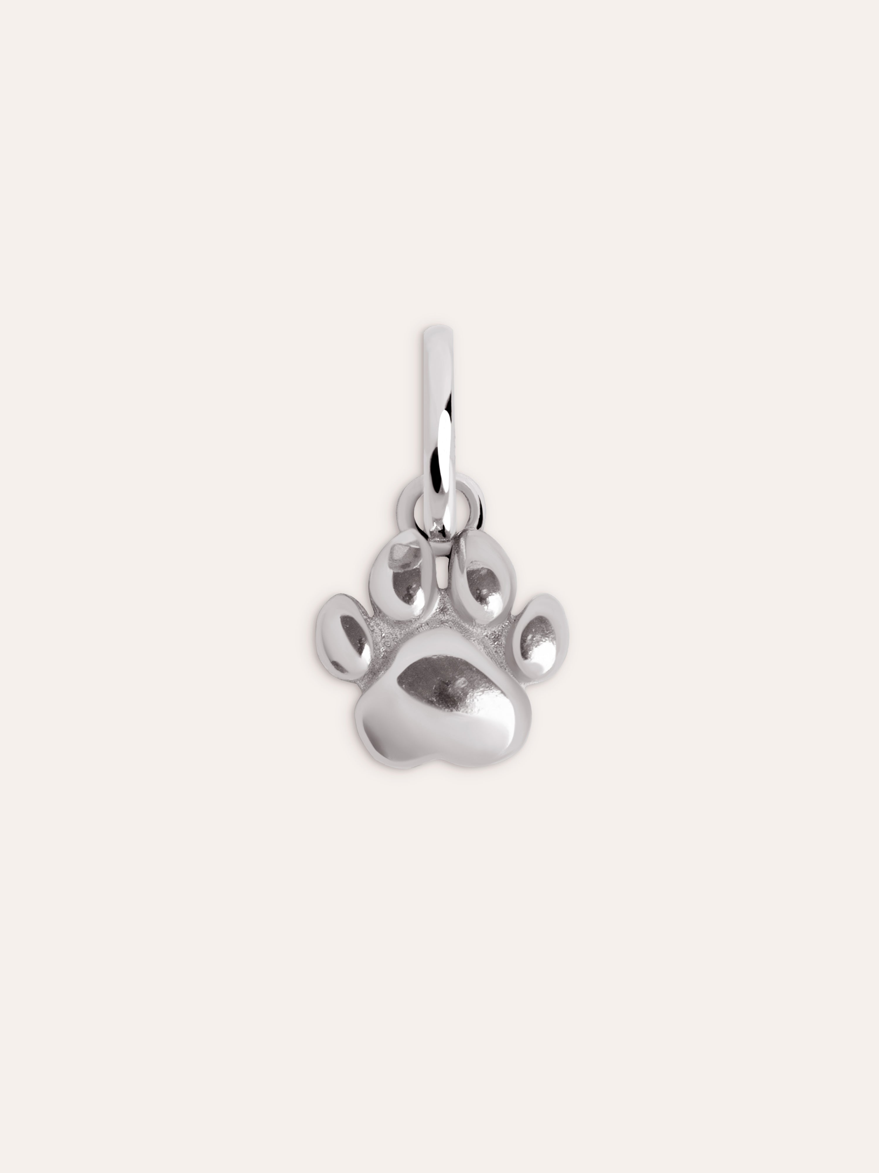 Charm Simple Paw Plata