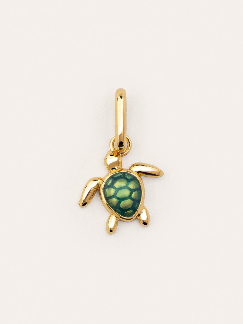 Schildkröte Charm, vergoldet