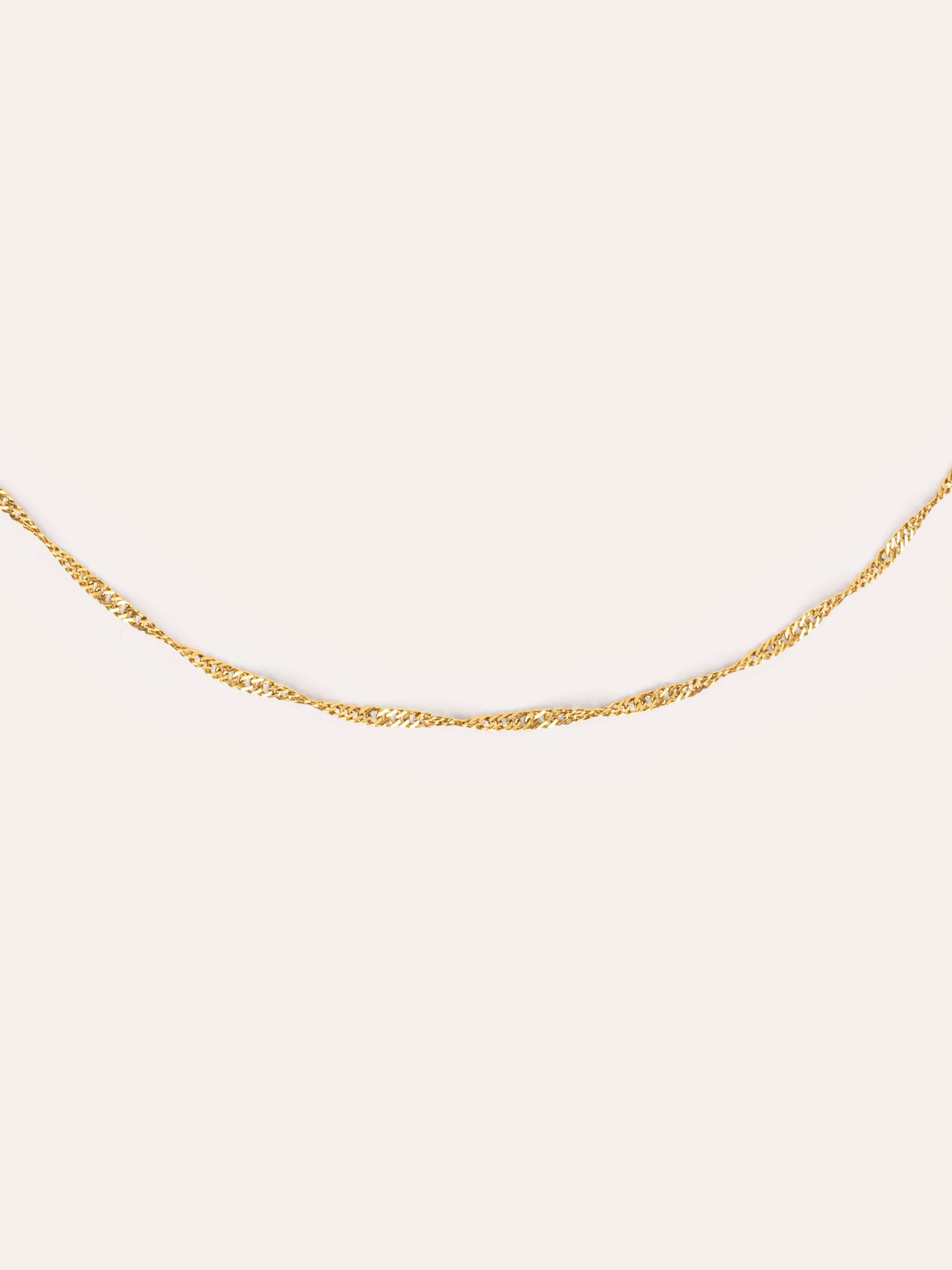 Mini Twist Stainless Steel Gold Necklace