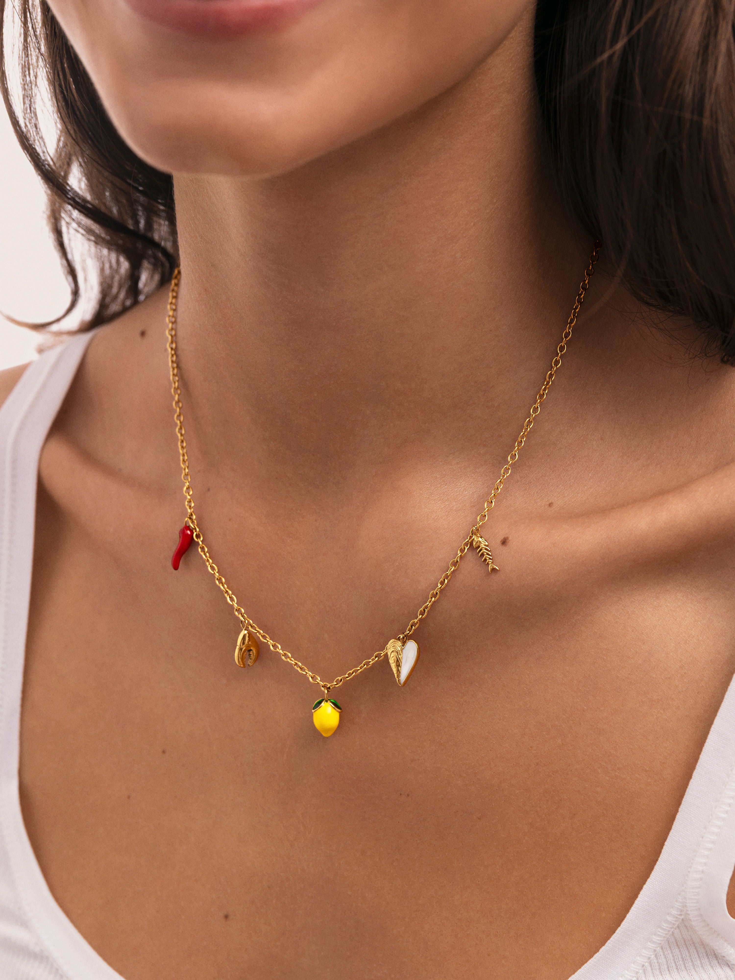 Collier Multicharm Apéritif Marin Acier Plaqué Or