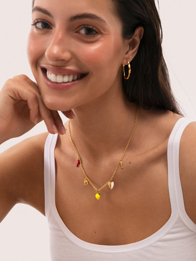 Collier Multicharm Apéritif Marin Acier Plaqué Or