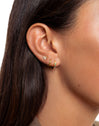 Boucles d'oreilles créoles Colors plaquées or