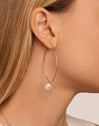 Pendientes Arch Bean Pearl Acero Baño Oro - puesto en modelo