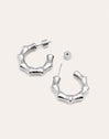 Sugarcane Stainless Steel Hoop Earrings 