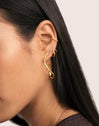 Pendientes Gota Spiral Acero Baño Oro