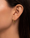 Aro Cava Gold Earrings