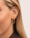 Boucles D’oreilles Créoles Framboise Plaqué Or