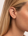Pendientes Gota Spiral Acero Baño Oro