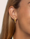 Colored Fish Gold Earrings 