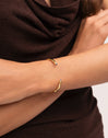 Bracciale Rigido Cane Cianite Placcato Oro