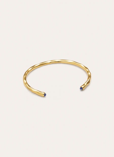 Bracciale Rigido Cane Cianite Placcato Oro