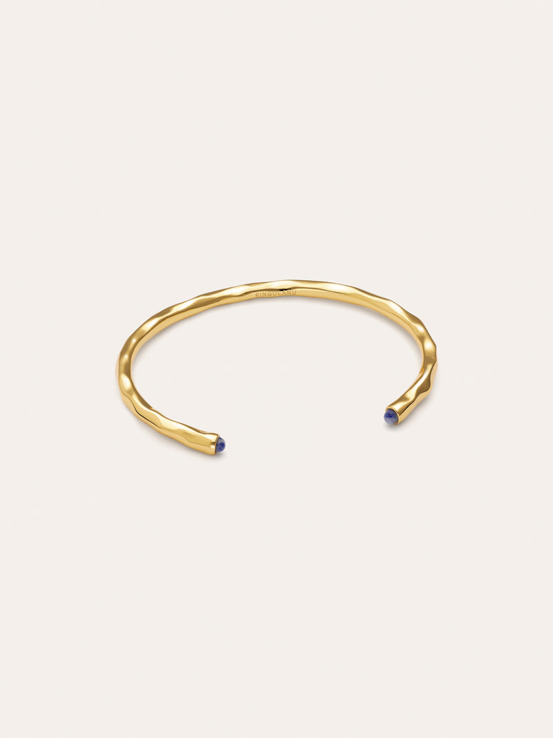 Bracciale Rigido Cane Cianite Placcato Oro