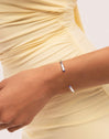 Bracciale Rigido Cane Cianite