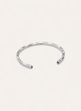 Bracciale Rigido Cane Cianite