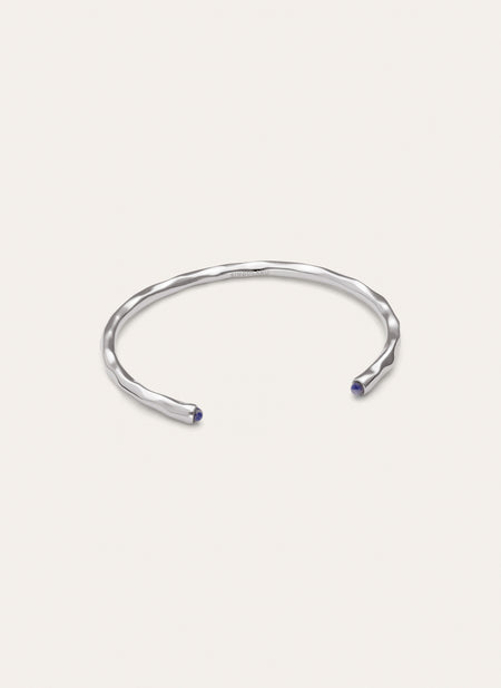 Bracciale Rigido Cane Cianite