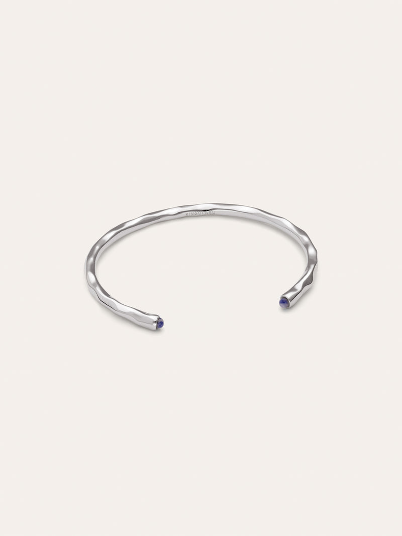 Bracciale Rigido Cane Cianite