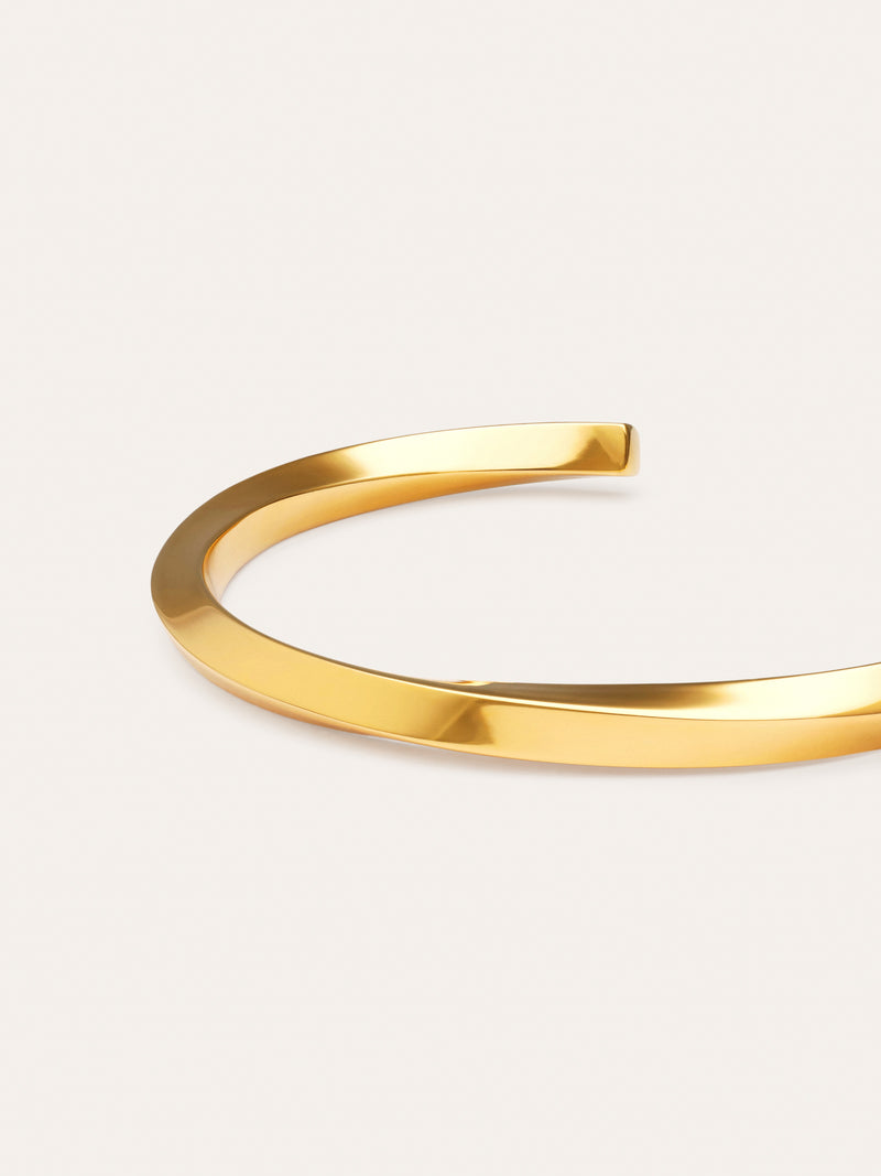Armband Lizze Staal verguld