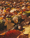 Gold-Plated Acorn Charm - vista 7
