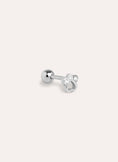 Pendiente Suelto Mini Paw Plata